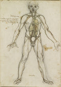 The Major Organs and Vessels Poster | Leonardo da Vinci Art Print (1485)