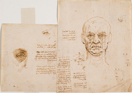 Studies of the Proportions of the Face and Eye Poster | Leonardo da Vinci Art Print (1489)
