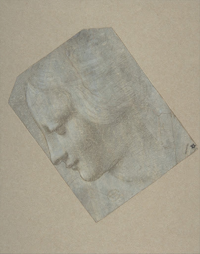 The Head of a Woman in Profile Facing Left Poster | Leonardo da Vinci Art Print (1490)