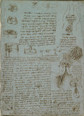The Aortic Valve Poster | Leonardo da Vinci Art Print (1512)