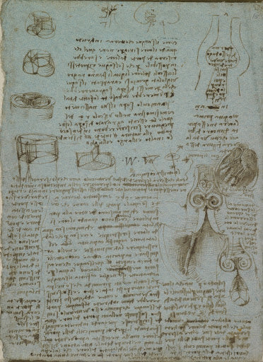 The Aortic Valve Poster | Leonardo da Vinci Art Print (1512)