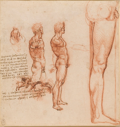 The Muscles of the Shoulder, Torso and Leg, and a Skirmish Poster | Leonardo da Vinci Art Print (1506)
