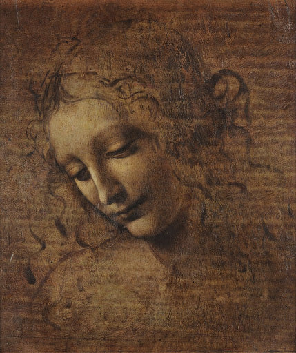 La Scapigliata Poster | Leonardo da Vinci Art Print (1506)