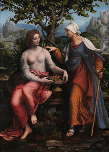 Vertumnus and Pomona Poster | Francesco Melzi Art Print (1518)