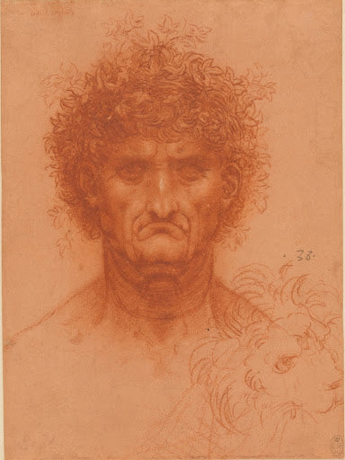 The Bust of a Man Poster | Leonardo da Vinci Art Print (1510)