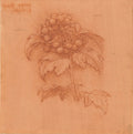 A Sprig of Guilder-rose Poster | Leonardo da Vinci Art Print (1506)