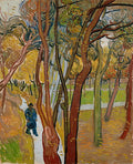 The Garden of Saint Paul's Hospital Poster | Vincent van Gogh Art Print (1889)