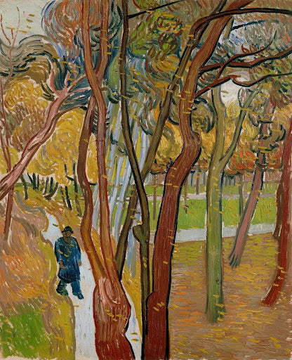 The Garden of Saint Paul's Hospital Poster | Vincent van Gogh Art Print (1889)