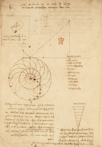 Study for the Design of an Overbalanced Wheel II Poster | Leonardo da Vinci Art Print (1495)