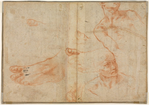 Figure Studies for the Sistine Ceiling Poster | Michelangelo Art Print (1510)