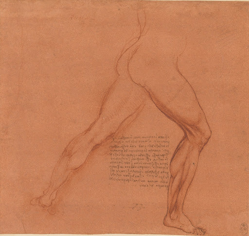 The Legs of a Male Nude II Poster | Leonardo da Vinci Art Print (1506)