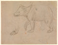 A Bear Walking Poster | Leonardo da Vinci Art Print (1482)