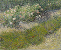 Grass and Butterflies Poster | Vincent van Gogh Art Print (1887)