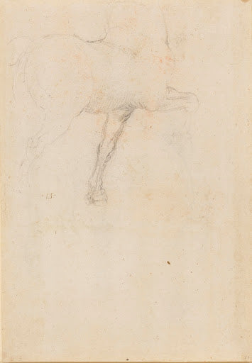 Horses' Legs Poster | Leonardo da Vinci Art Print (1517)