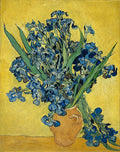 Irises Poster | Vincent van Gogh Art Print (1890)