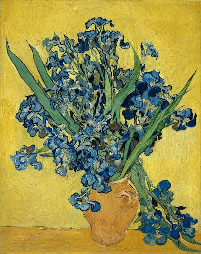 Irises Poster | Vincent van Gogh Art Print (1890)