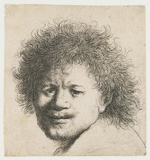 Self-Portrait with Long Bushy Hair Poster | Rembrandt van Rijn Art Print (1631)