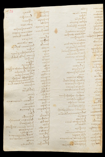 Codex Trivulzianus Page 24 Poster | Leonardo da Vinci Art Print (1487)