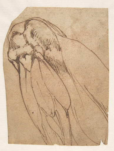 Anatomical Study of a Knee Poster | Michelangelo Art Print