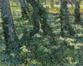 Undergrowth Poster | Vincent van Gogh Art Print (1889)