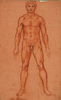 A Standing Male Nude II Poster | Leonardo da Vinci Art Print (1504)