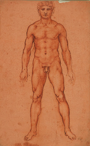 A Standing Male Nude II Poster | Leonardo da Vinci Art Print (1504)