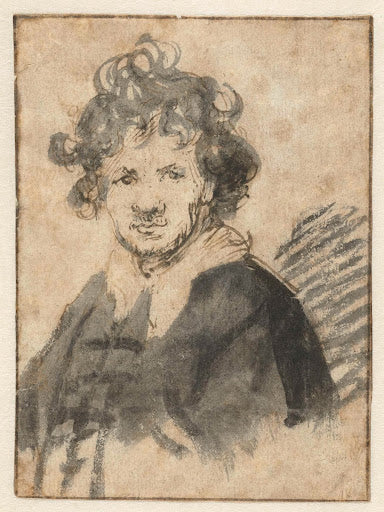 Self-Portrait with Tousled Hair Poster | Rembrandt van Rijn Art Print (1628)