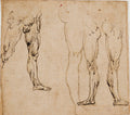 Studies of Male Legs Poster | Leonardo da Vinci Art Print (1485)