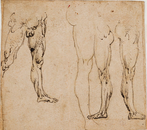 Studies of Male Legs Poster | Leonardo da Vinci Art Print (1485)