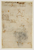Head of an Old Man, and Studies of Machinery Poster | Leonardo da Vinci Art Print (1497)