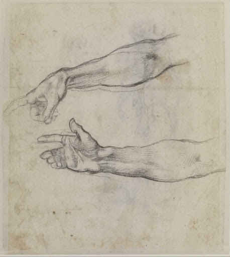 Studies of an Outstretched Arm for the Drunkenness of Noah Poster | Michelangelo Art Print (1508)