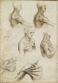 The Bones and Muscles of the Shoulder Poster | Leonardo da Vinci Art Print (1510)