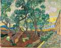 A Corner of the Asylum Garden Poster | Vincent van Gogh Art Print