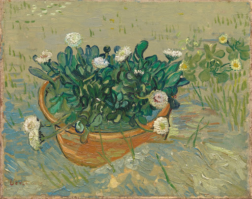 Daisies, Arles Poster | Vincent van Gogh Art Print