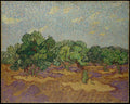 Olive Trees II Poster | Vincent van Gogh Art Print (1889)