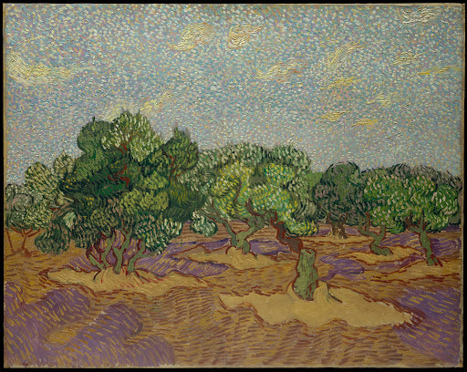 Olive Trees II Poster | Vincent van Gogh Art Print (1889)