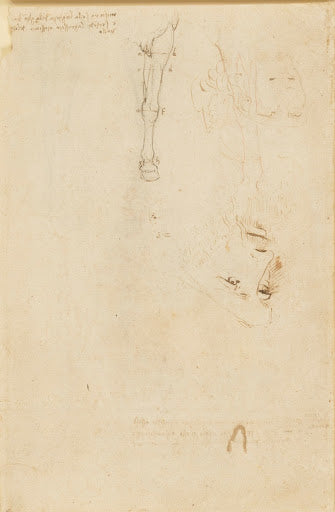 Horses' Fore-legs Poster | Workshop of Leonardo da Vinci Art Print (1517)