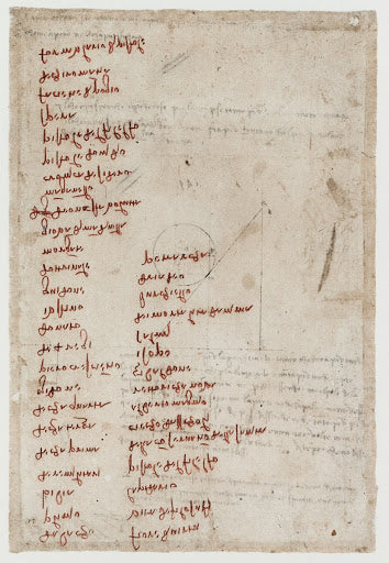 List of Books Poster | Leonardo da Vinci Art Print (1495)