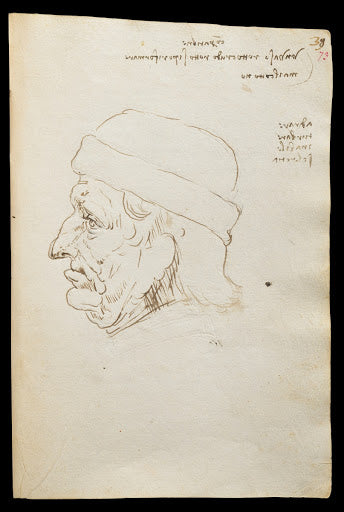 Codex Trivulzianus Page 73 Poster | Leonardo da Vinci Art Print (1487)