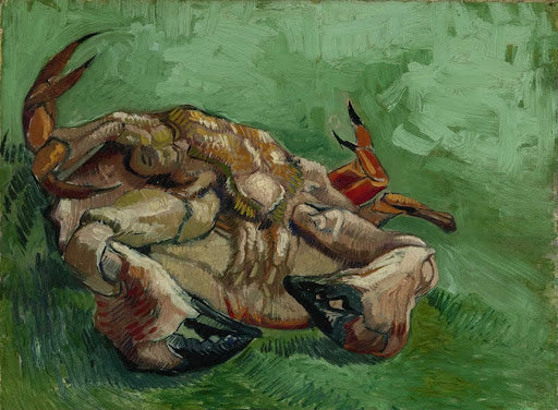 A Crab on Its Back Poster | Vincent van Gogh Art Print (1888)