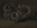 Birds' Nests Poster | Vincent van Gogh Art Print (1885)