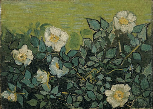 Wild Roses Poster | Vincent van Gogh Art Print (1890)