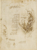 The Viscera of a Horse Poster | Leonardo da Vinci Art Print (1490)