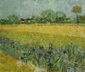 Field with Flowers Near Arles Poster | Vincent van Gogh Art Print (1888)