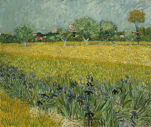 Field with Flowers Near Arles Poster | Vincent van Gogh Art Print (1888)