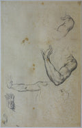 Figure Study of Adam Poster | Michelangelo Art Print (1509)