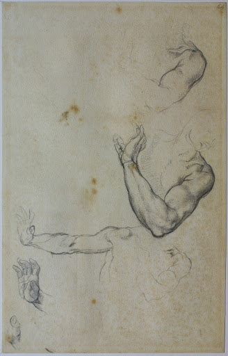 Figure Study of Adam Poster | Michelangelo Art Print (1509)