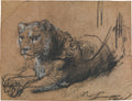 Young Lion Resting Poster | Rembrandt van Rijn Art Print (1638)