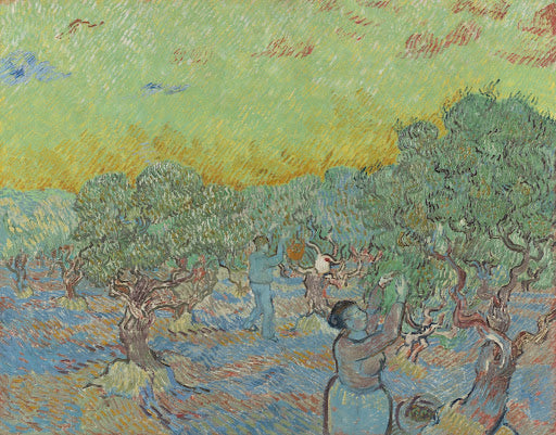 Olive Grove with Two Olive Pickers Poster | Vincent van Gogh Art Print (1889)