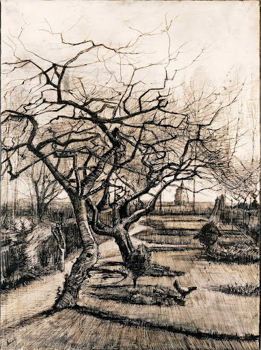 The Parsonage Garden at Nuenen in Winter Poster | Vincent van Gogh Art Print (1884)